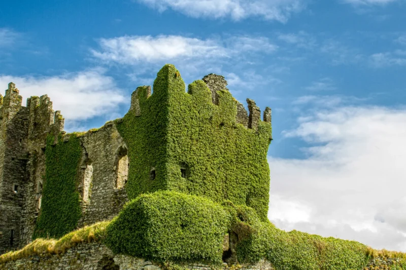 Film Location Tour of Ireland